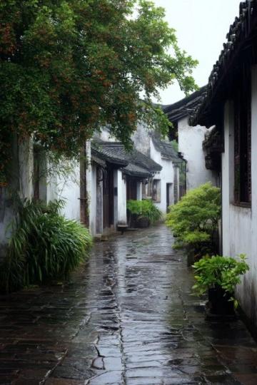 蘇州旅行必打卡:“中國(guó)十大歷史文化名街”平江路深度游攻略