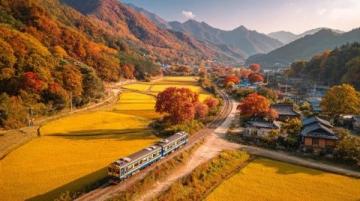 荔波小七孔旅游攻略:門票、交通與必游景點全指南