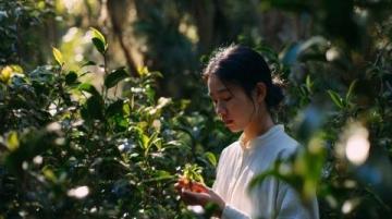 春天野菜怎么吃？教你簡單又營養的薺菜炒雞蛋做法