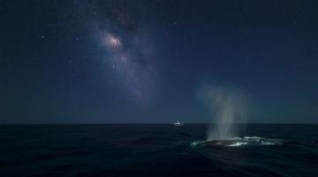 平凡中的星辰大海:記錄2025年的非凡生活故事
