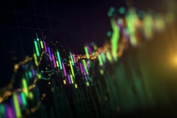 歷史會記住今天，十個點以上漲幅比比皆是，獨一份