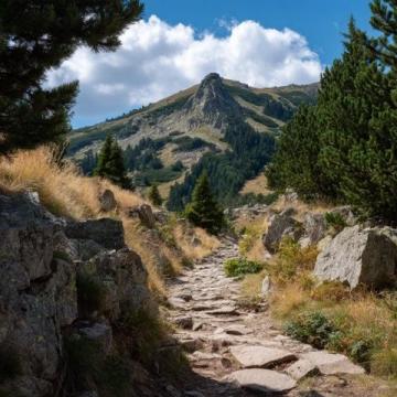 初嘗登山樂趣:探秘后山線路之旅