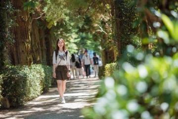 廈門春游攻略：賞花、文化探索與潮流體驗，一網打盡！
