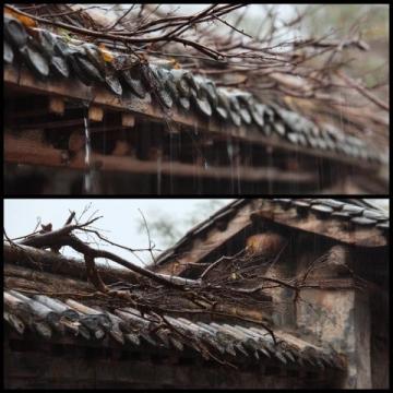 時雨紛紛,清明時節(jié)雨紛紛