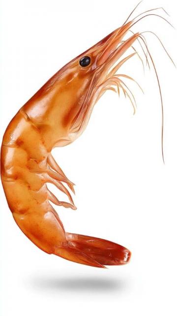 夏日限定：啤酒蝦輕松烹飪指南，解鎖鮮美新體驗