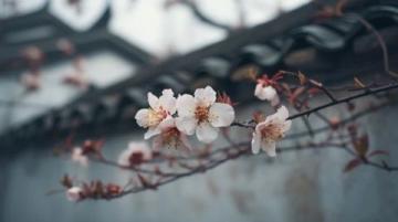 春日花開時節，蘇州杭州河鮮嘗鮮記