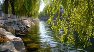 唐山南湖開灤旅游景區一日游攻略:歷史與自然的完美融合