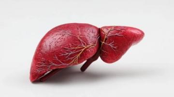 科學應對脂肪肝：揭秘極端素食背后的健康誤區與合理膳食策略