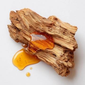 沉香保養秘笈:如何正確處理沉香以保持獨特氣息