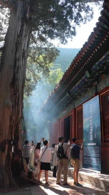 尋味安溪舌尖上的閩南風情