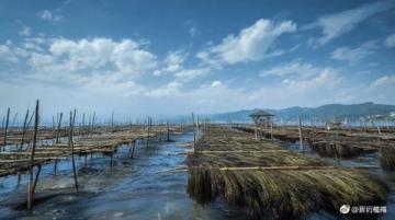 云端之藍:瀘沽湖畔的旅行回憶