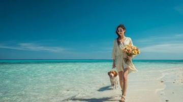 金色陽光下的相遇:我和星鳩漫步二沙島