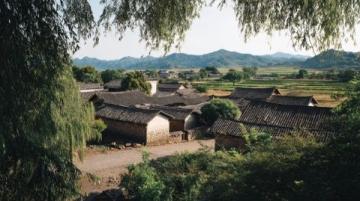 納溪小城之旅:品嘗特早茶、探索酒文化與美味佳肴