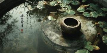太原四百年暗黑料理傳奇：一碗'頭腦'中的抗清密碼與養(yǎng)生智慧