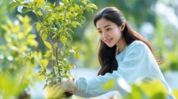 廈門春游攻略：賞花、文化探索與潮流體驗，一網打盡！