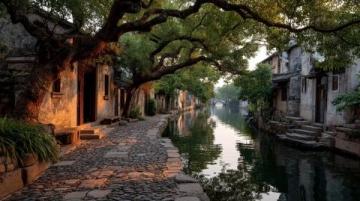 夏日打卡季:探秘華北明珠白洋淀,體驗北方水鄉生態人文之旅