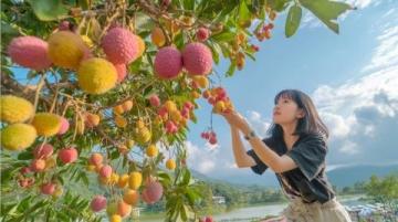 伊春之旅：在森林與美食中暢游