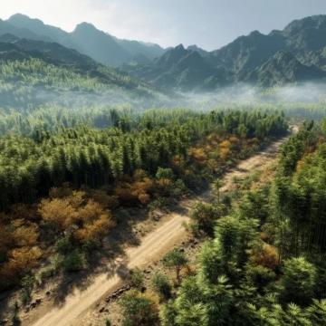 西雙版納深度游全攻略：秘境美景、美食地圖與當地玩法揭秘