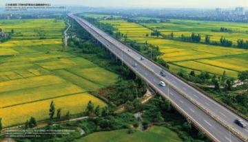 夏日午后的幻覺:張解放眼中的扭曲柏油路