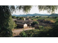 納溪小城之旅:品嘗特早茶、探索酒文化與美味佳肴