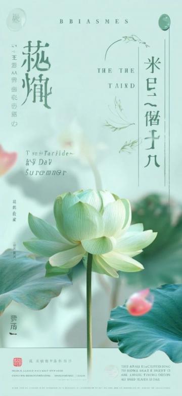 廊坊霸州牡丹花開：春日里的視覺與文化盛宴