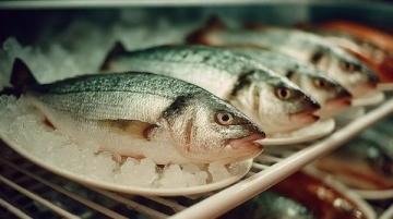 老家生活如魚得水：新鮮美食與自給自足的幸福感