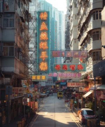 香港鼠患嚴(yán)峻:每捉一只老鼠成本約10880元,引發(fā)熱議