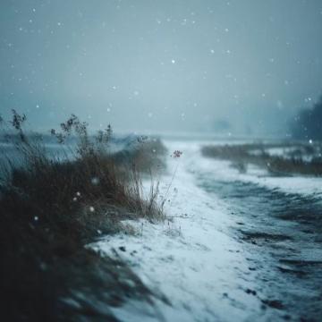 冬天最冷的時候是你不知道的事!