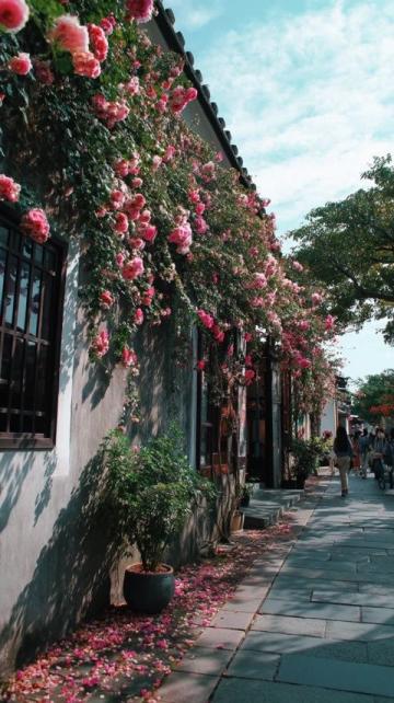 一座牌坊一段史，半街煙火半街詩,當踏入潮州市湘橋區牌坊街的青石板路