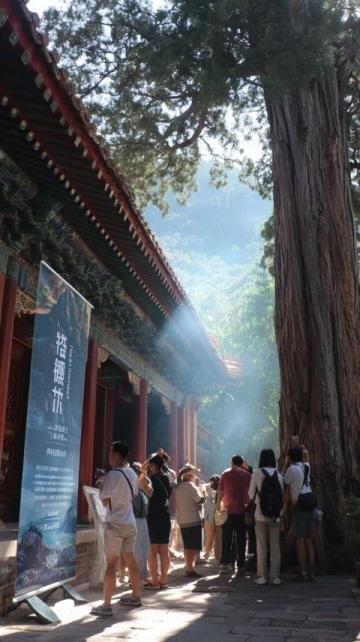 千年古剎天童禪寺:太白山麓的佛教圣地