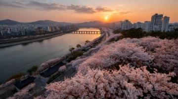 2025年必去的五大春季旅行勝地,跟隨榜單開(kāi)啟新體驗(yàn)