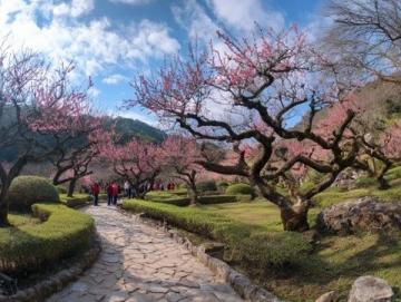 呼倫貝爾扎蘭屯杜鵑節(jié):春日賞花與美食之旅