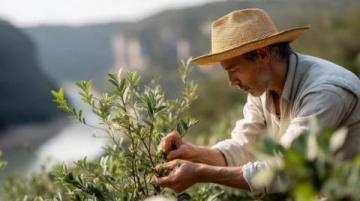 客家擂茶的歷史與制作工藝詳解及其文化價值