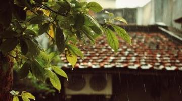 煙雨江南,味蕾飄香