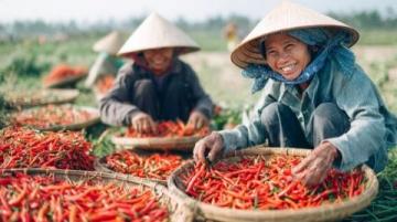 探索中國香腸魅力：一位女人的狂熱與扶貧達人的使命