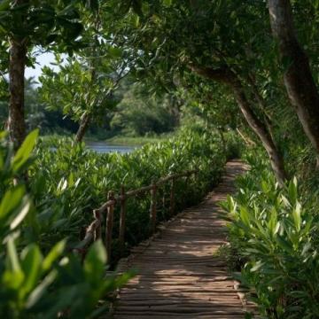 早就聽聞東莞麻涌的華陽湖濕地公園美不勝收，終于在這個(gè)周末，我開著我的16款軒逸