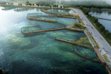 揭秘武漢熱門免費釣點:南湖、青菱河、麻湖路等垂釣天堂