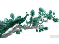 家居裝飾用心來著！黑葉觀音蓮，高貴典雅的美景，但千萬要小心它有毒！