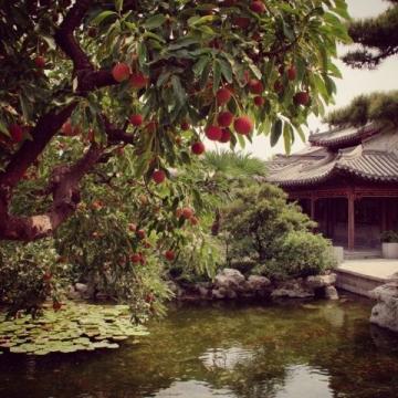 艾灸治療后的溫暖一日：紅包驚喜與合柴1972文創園之旅