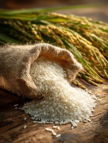 中國6大名優大米盤點：你的家鄉米在榜上嗎？