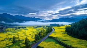 和邑村春日盛景:油菜花節暨美食節精彩開幕