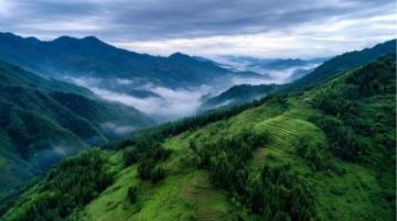五一暢游大鵬：山海盛宴，潮玩必赴！