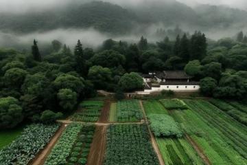 安徽皖南鄉(xiāng)村美食探秘：鄉(xiāng)野味蕾之旅