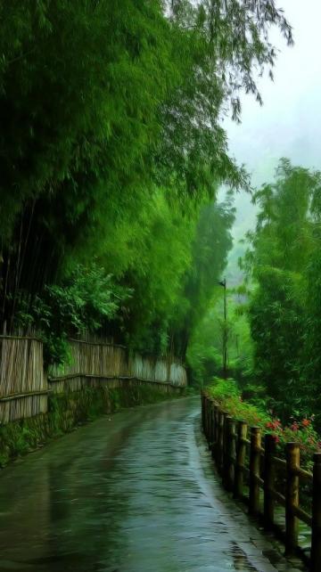 武功山：雨后的艱難抉擇