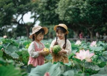 廊坊霸州牡丹花開：春日里的視覺與文化盛宴