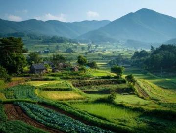 云南8日7晚跟團游:美景美食雙享攻略
