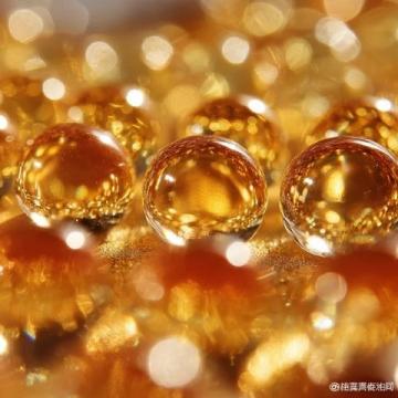 豆油技術分析：供應充足需求疲軟下的價格走勢判斷