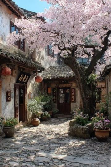 大理旅游攻略|數(shù)不盡的櫻花拍攝機(jī)位與美食