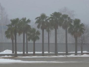 雪終于來(lái)了！河南鄭州出現(xiàn)大暴雪，河南局地積雪深度超20厘米,前些日子天氣預(yù)報(bào)說(shuō)