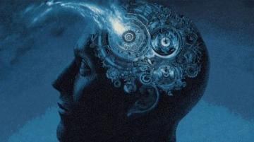 震驚！七大逆天冷知識揭秘，末一條令人瞠目結舌！